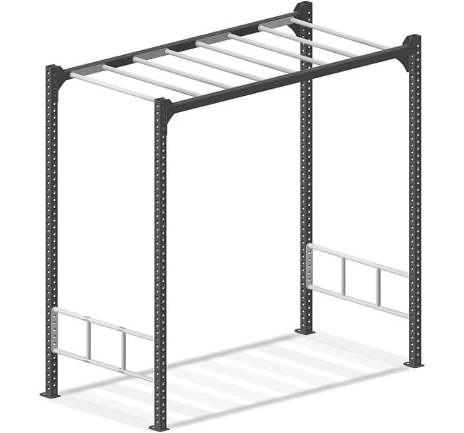 Adult Backyard Monkey Bars