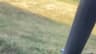 Video frame trigger