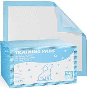 Gianna Disposable Training Puppy Pet Piddle