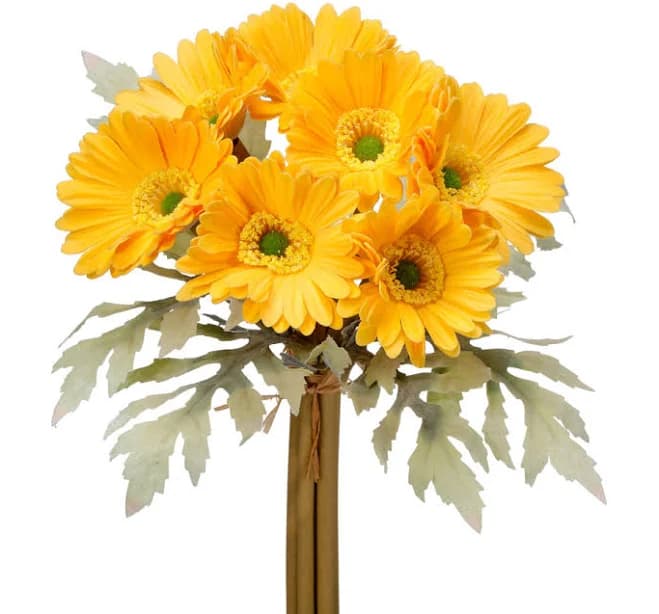 Gerbera Daisy Arrangement