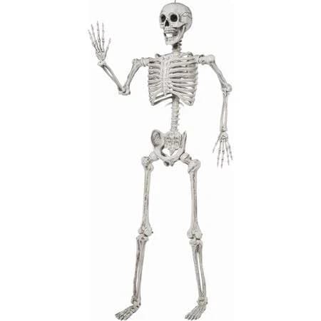 5.6 FT Halloween Posable Life Size Skeleton Full Body Realistic Bones Movable Joints Halloween Decoration Prop