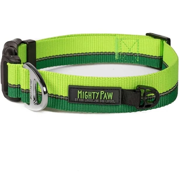 Mighty Paw Standard Reflective Colorblast Dog Collar