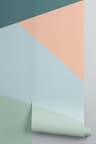 Video frame trigger