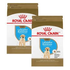 Bulldog Puppy Royal Canin French Bulldog Petsmart Pet Food Royal Canin Golden Retriever Petsmart Royal Canin® Breed