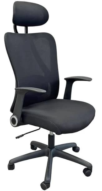 Modern Office Prosupport Office Chair