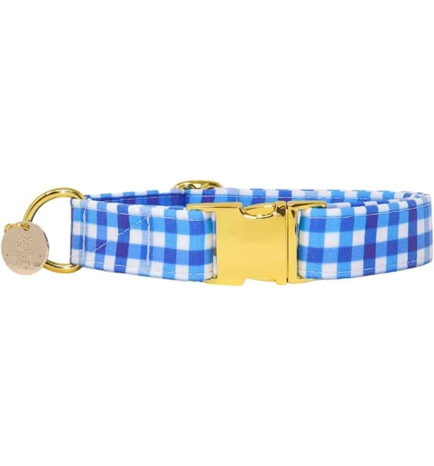 Neptune Royal Blue Gingham Dog Collar