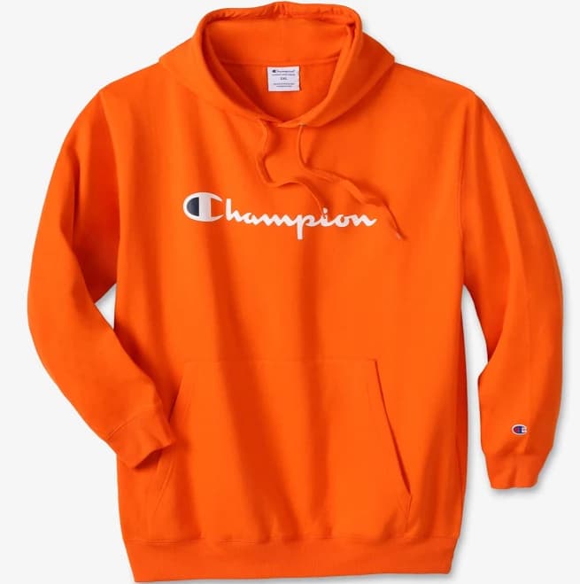 Champion Men's Big & Tall Script Hoodie