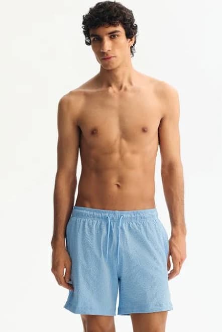 H&M Men's Seersucker Swim Shorts