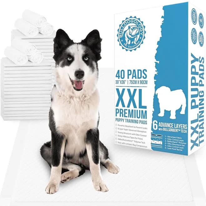 Bulldogology Premium XXL Puppy Pads