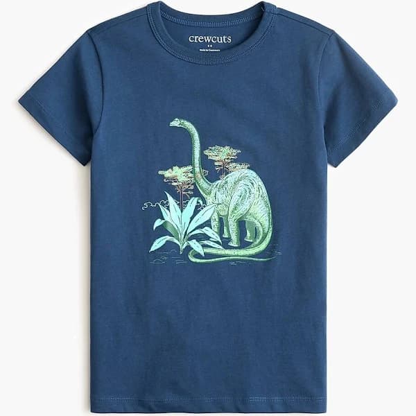 J.Crew Boys' Dinosaur Graphic Tee