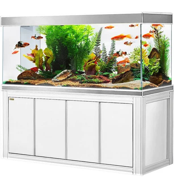 Aqua Dream 235 Gallon All-in-One Aquarium