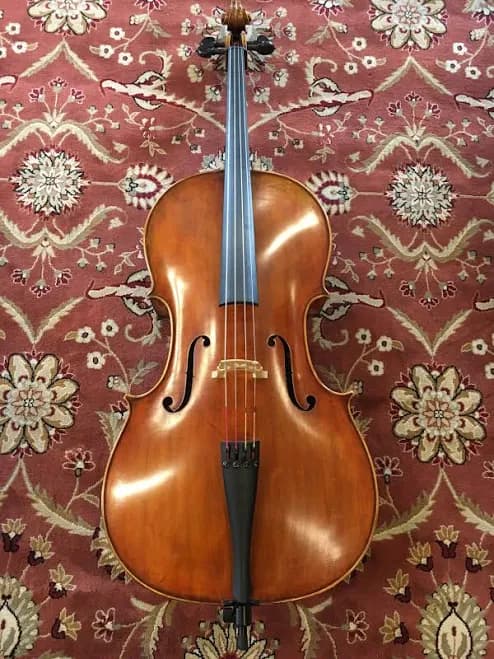 D Z Strad Cello Model 900 Handmade Cello Outfit