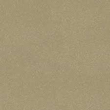 Automotive Paint for Toyota 587, Dorado Gold Pearl, Quart : Automotive - Amazon.com