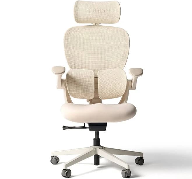 Hinomi Q2 Ergonomic Office Chair
