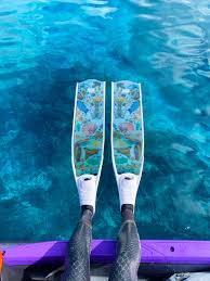 DIVERMON RAINBOW FREEDIVING FINS – DIVER MON ART