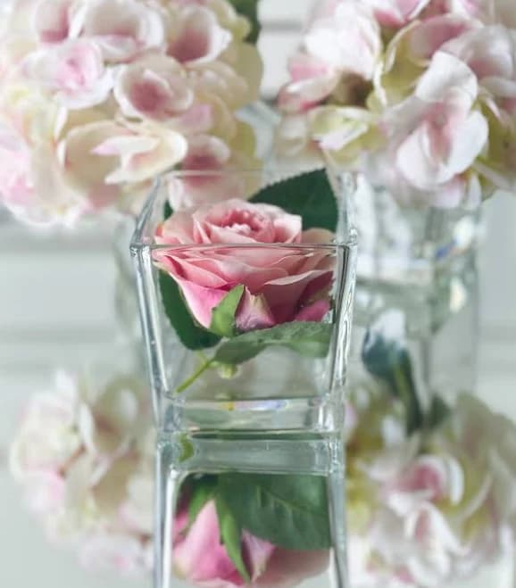 Soft Pink Rose in Glass Vase
