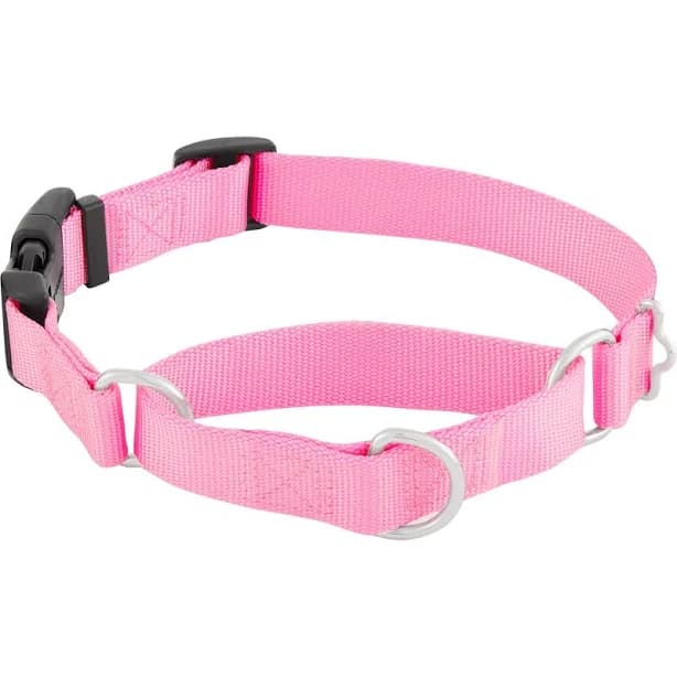 Frisco Solid Nylon Martingale Dog Collar