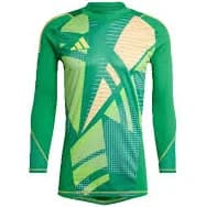 Adidas Tiro 24 Pro Goalkeeper Long Sleeve Jersey IS5350 Green Men Size Large