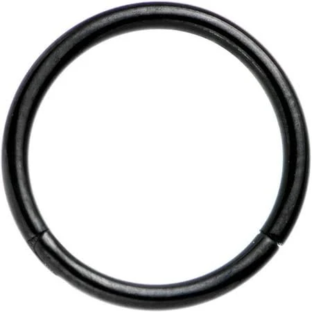 Body Candy 16 Gauge Black PVD Stainless Steel Hinged Segment Ring