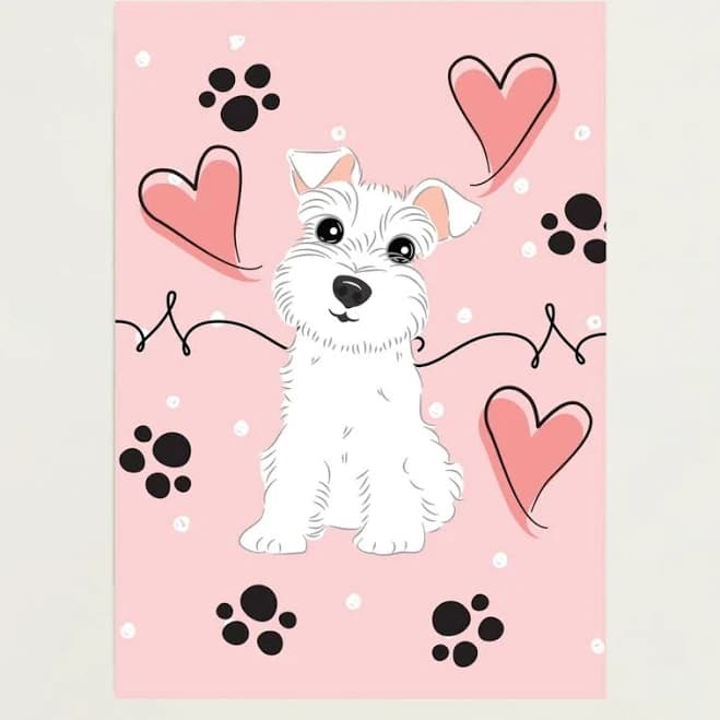 Love White Miniature Schnauzer Schnauzer Photographic Print