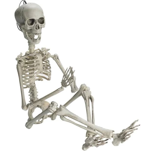 Full Body Creepy Skeleton Halloween Skeleton with Movable Joints