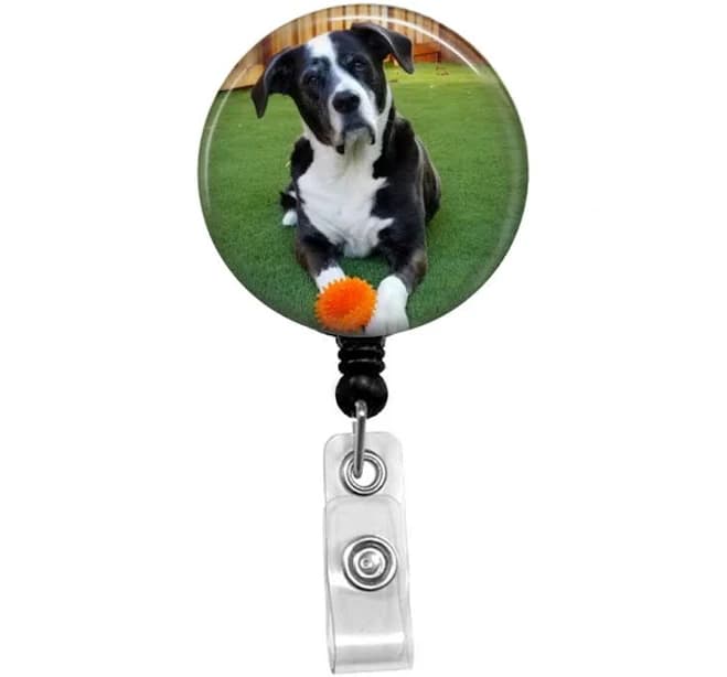 Custom Photo Badge Retractable Badge Holder