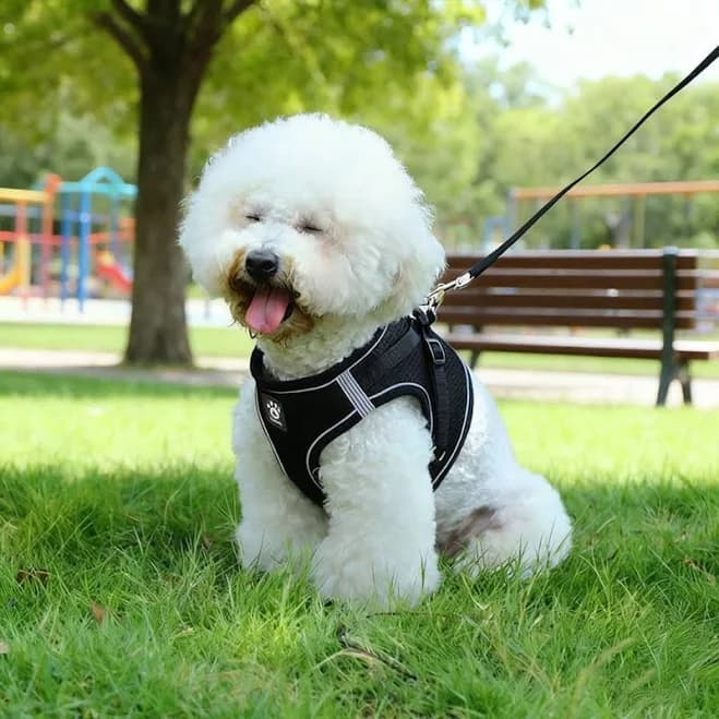 Dog Harness Adjustable Reflective Polyester Pink Debracat Color: Black