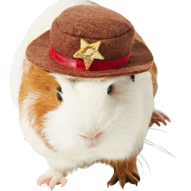 Frisco Cowboy Guinea Pig Costume Hat
