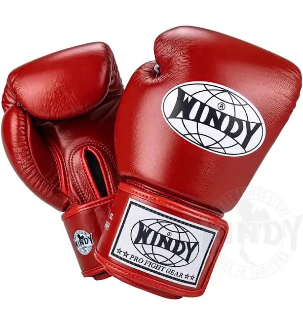Windy Boxing Gloves