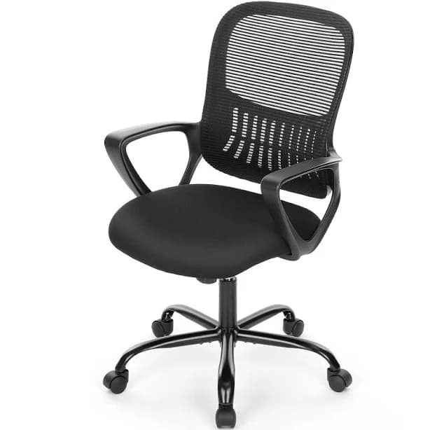 Gianna Ergonomic Mesh Office Chair Armrests, Lumbar and Mid-Back Home & Desk Wheels
