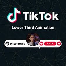 Custom Tiktok Follow Animation for Video Intros With Like Button, Sound Effects Included, Two Background Options - Etsy