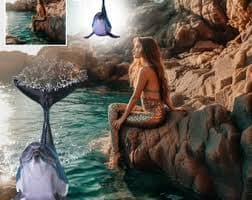 Dolphin Clipart: Photoshop Composites, Transparent PNG (digital Download) - Etsy UK