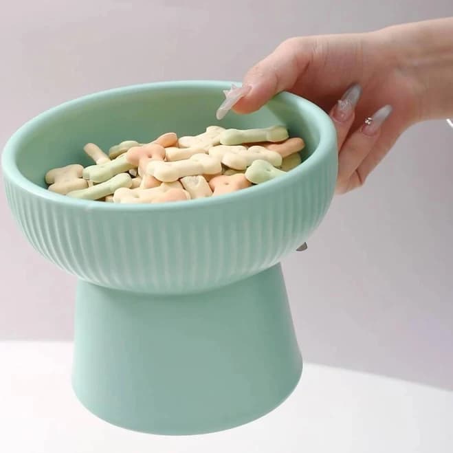 Striped Elevated Ceramic Pet Bowl Mint Green