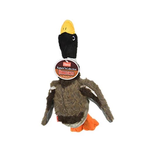 Hartz Quackers Duck Dog Toy