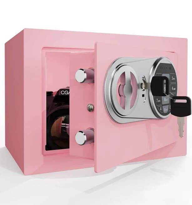 Banchy&Beauty Pink Security Safe