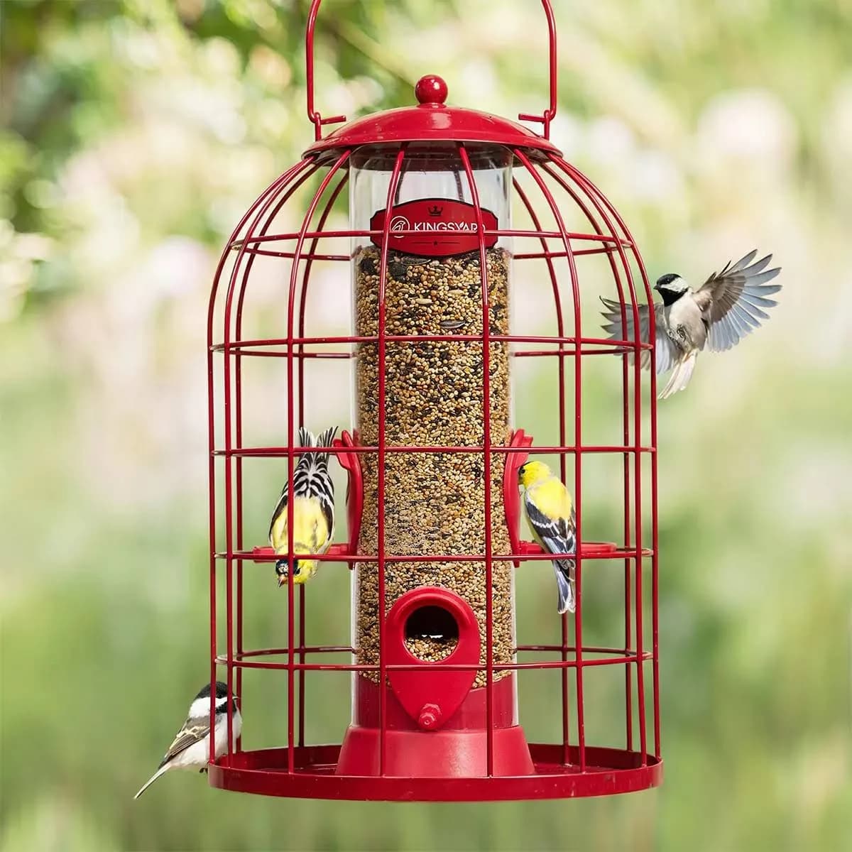 Kingsyard Caged Squirrel Proof Tube Feeder