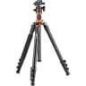 Video frame trigger