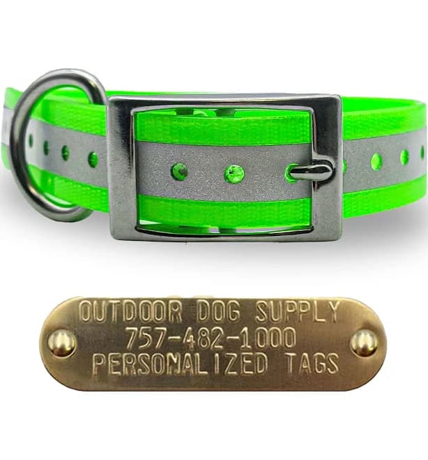 Reflective Elite Collar with Stainless Steel D Ring and Buckle