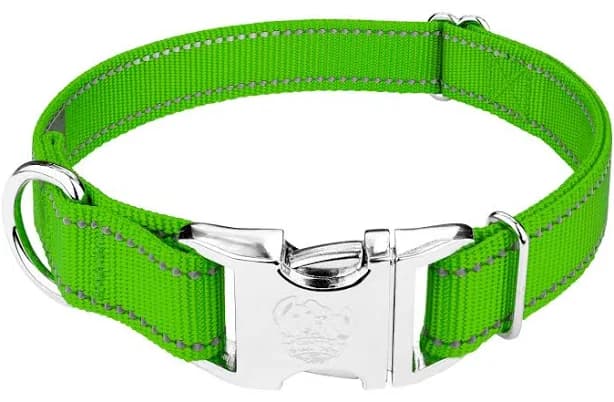 Country Brook Petz Premium Reflective Nylon Dog Collar
