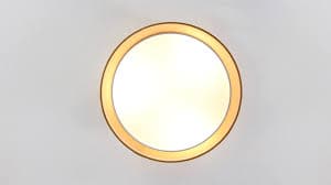 Wade Logan® Addae 15.7 in. 3 Light Indoor Flush Mount & Reviews | Wayfair