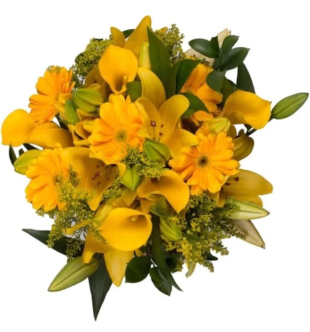 Lowe's Yellow Floral Wrapping