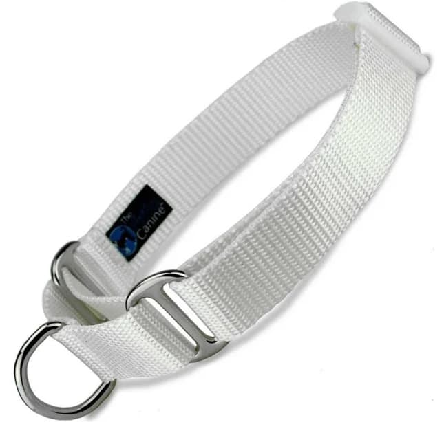 White Nylon Martingale Dog Collar