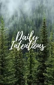 Daily Intentions Goal Planner & Journal: letsjazzitup2