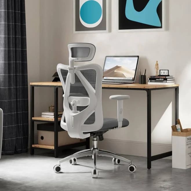 Sihoo Ergonomic Mesh Office Chair