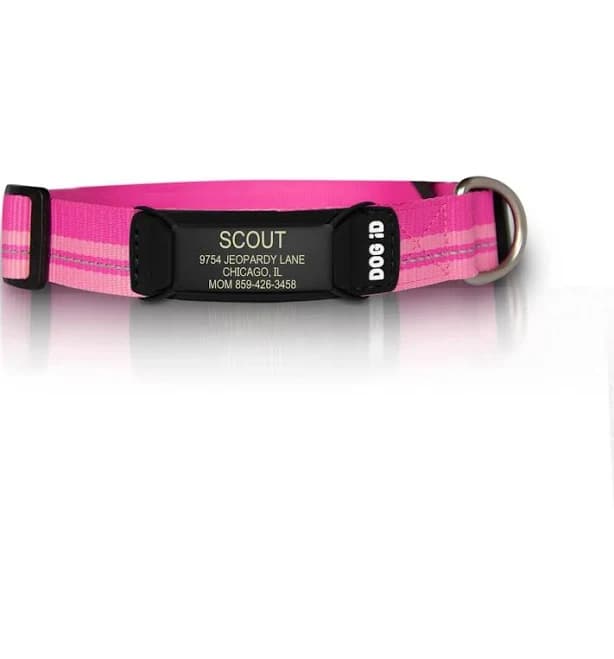 ROAD iD The Rock Solid Personalized ID Tag Dog Collar