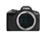 Video frame trigger