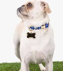 Kate Spade New York Navy Gingham Dog Collar