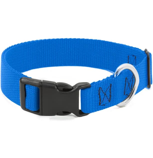 Buckle-Down Blue Nylon Plastic Clip Collar