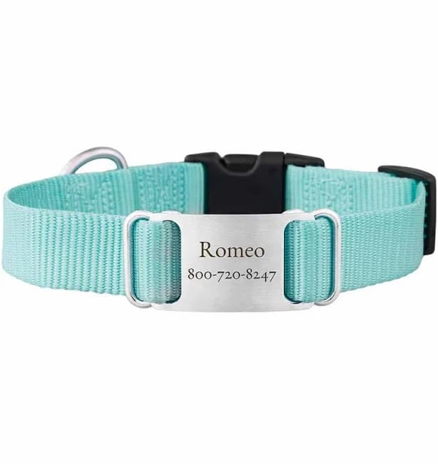 dogIDs - Nylon ScruffTag Dog Collar | Turquoise