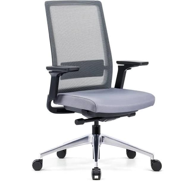 Gravity Ergonomic Mesh-Back Office Chair, Gray Mesh & Black Seat